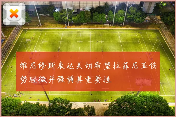 维尼修斯表达关切希望拉菲尼亚伤势轻微并强调其重要性