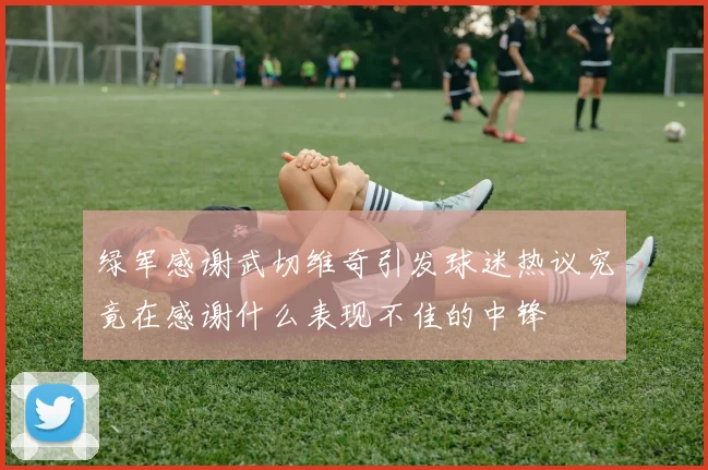 绿军感谢武切维奇引发球迷热议究竟在感谢什么表现不佳的中锋